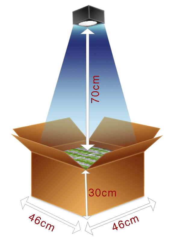 Case Packing Technology - Case Completion Sensing - Motion Controls ...