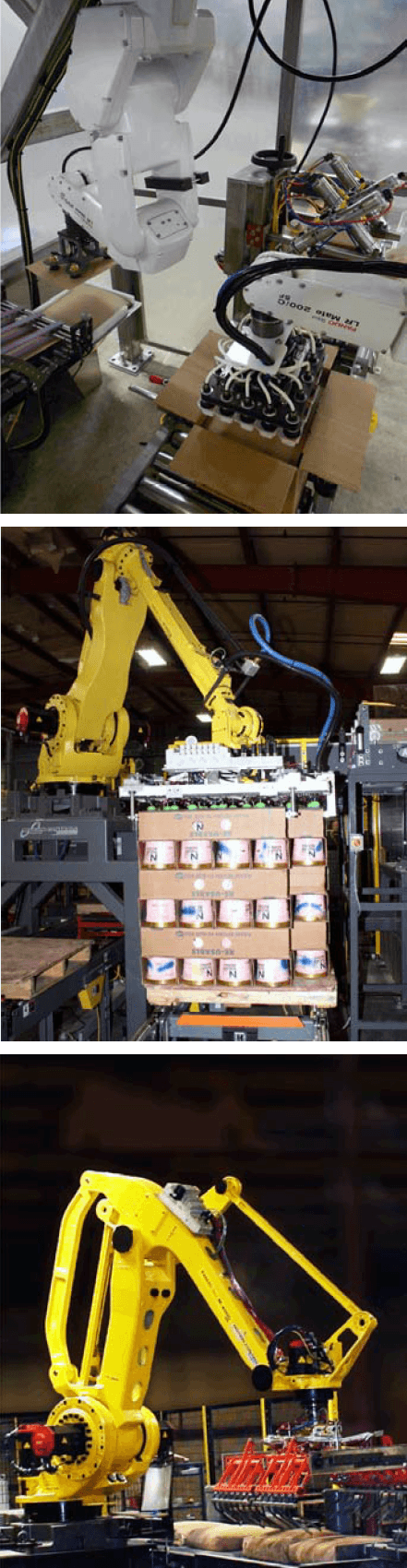 robotic case packing palletizing